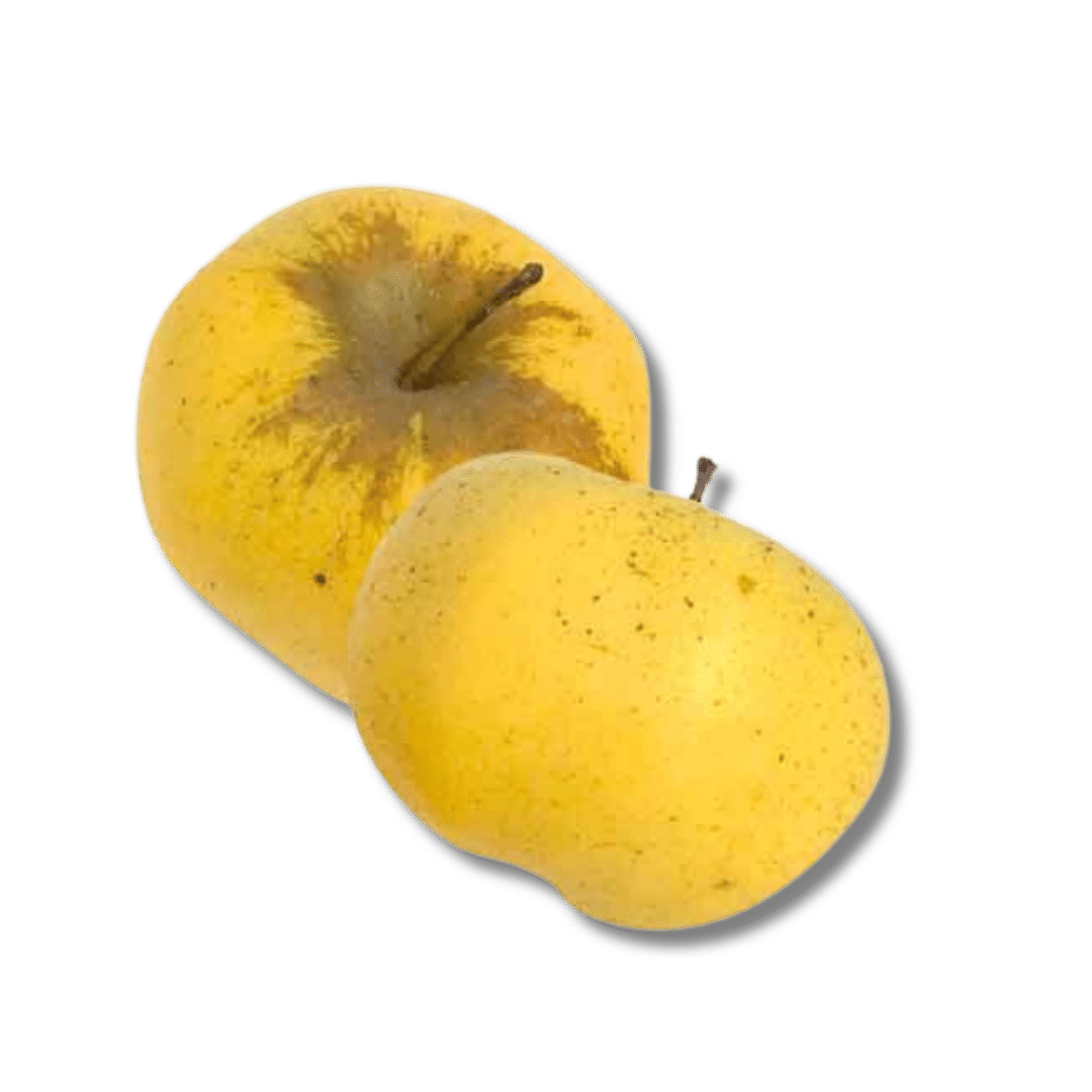 Pomme reinette de la rochelle jaune