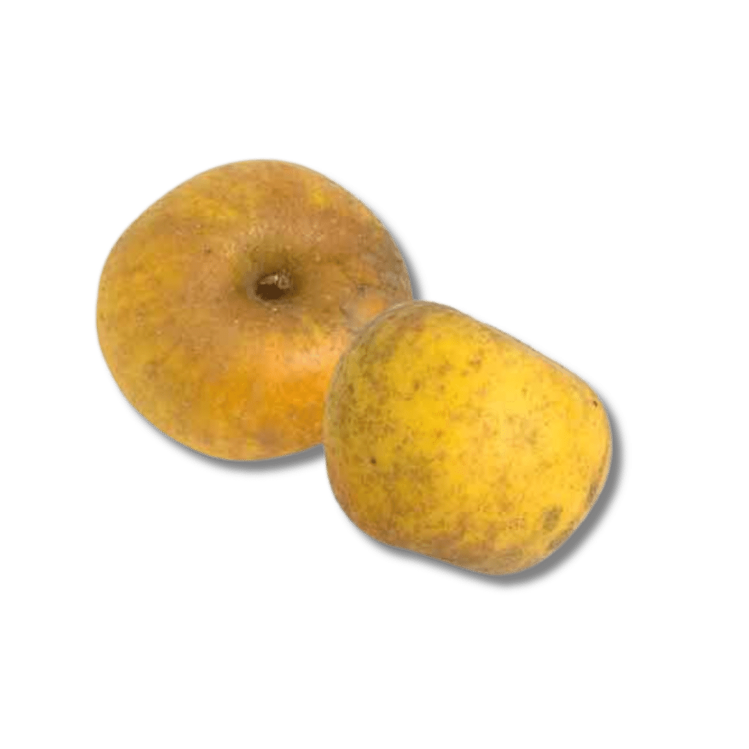 Pomme Grain d’or