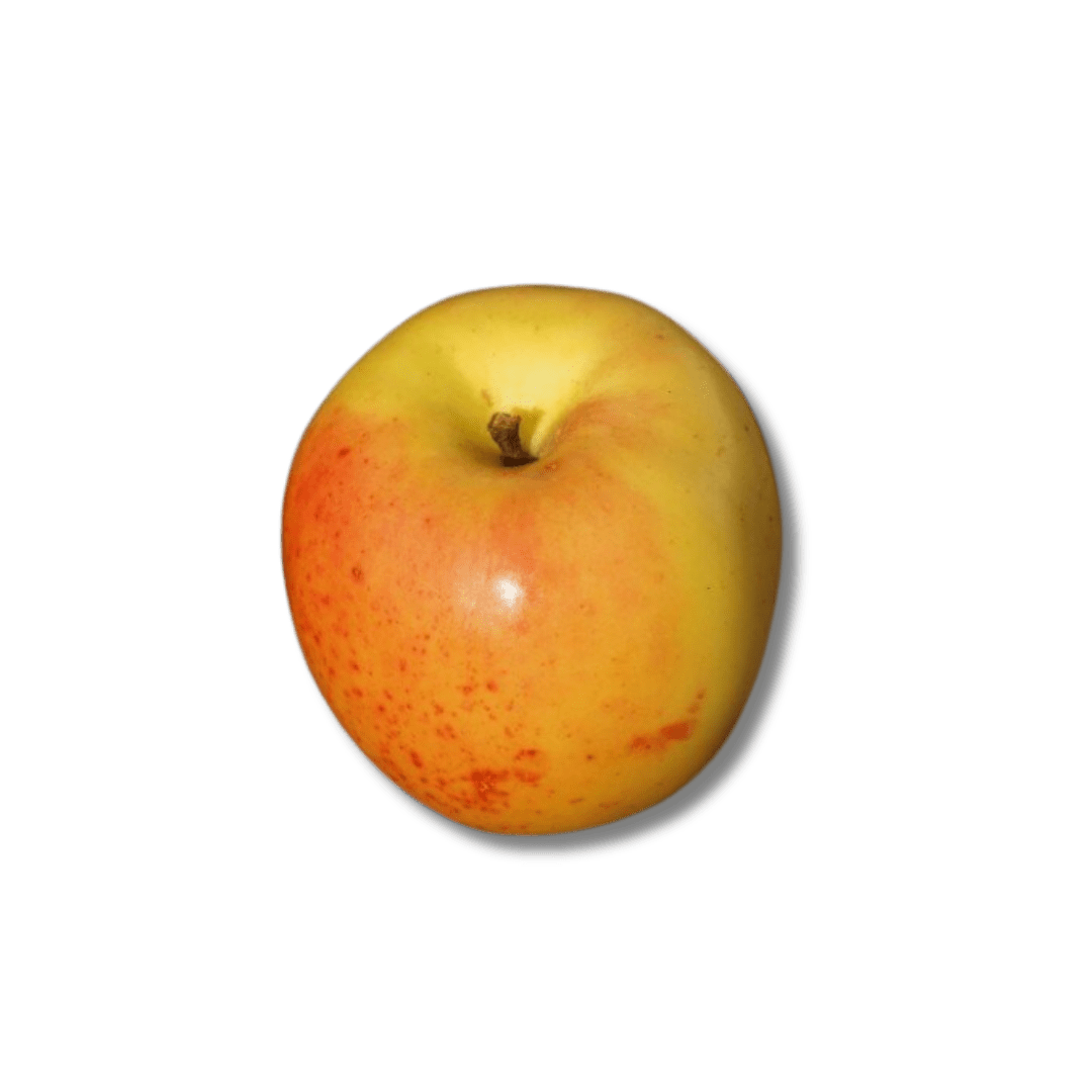 Pomme Glace de Pont-l’abbé