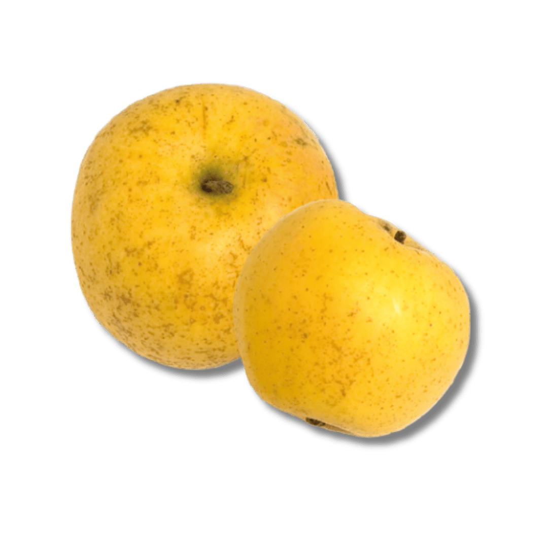 Pomme Mouchetée