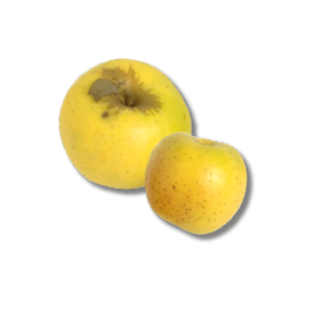 Pomme Pineau de villeneuve